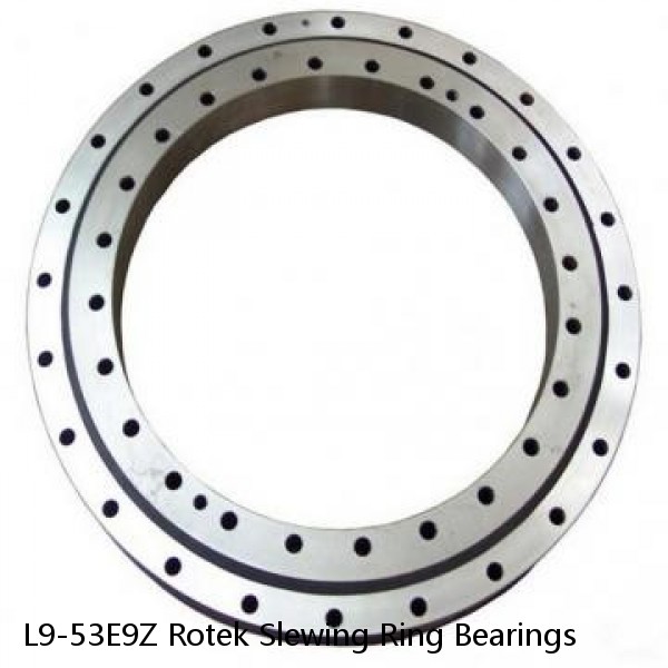 L9-53E9Z Rotek Slewing Ring Bearings