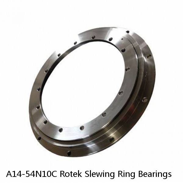 A14-54N10C Rotek Slewing Ring Bearings