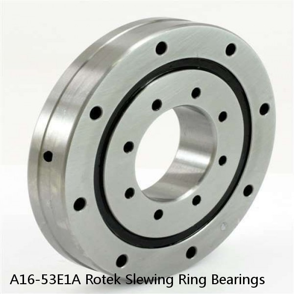 A16-53E1A Rotek Slewing Ring Bearings