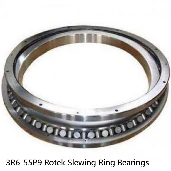 3R6-55P9 Rotek Slewing Ring Bearings