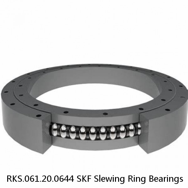 RKS.061.20.0644 SKF Slewing Ring Bearings