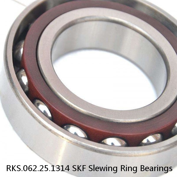 RKS.062.25.1314 SKF Slewing Ring Bearings