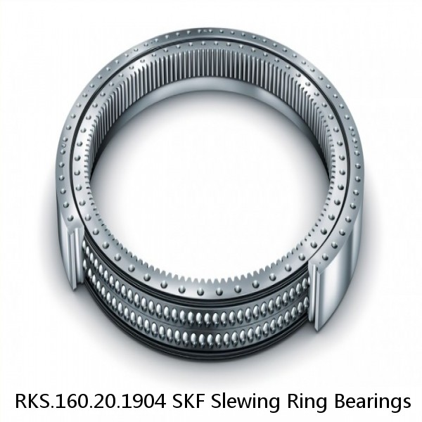 RKS.160.20.1904 SKF Slewing Ring Bearings