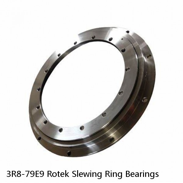 3R8-79E9 Rotek Slewing Ring Bearings