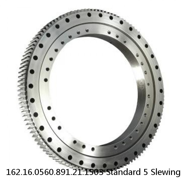 162.16.0560.891.21.1503 Standard 5 Slewing Ring Bearings