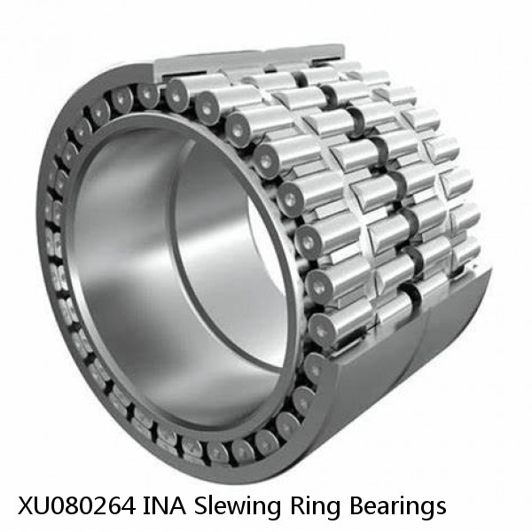 XU080264 INA Slewing Ring Bearings