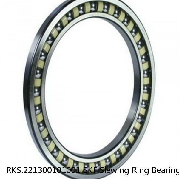 RKS.221300101001 SKF Slewing Ring Bearings