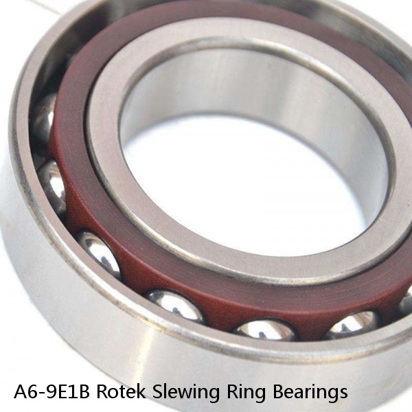 A6-9E1B Rotek Slewing Ring Bearings