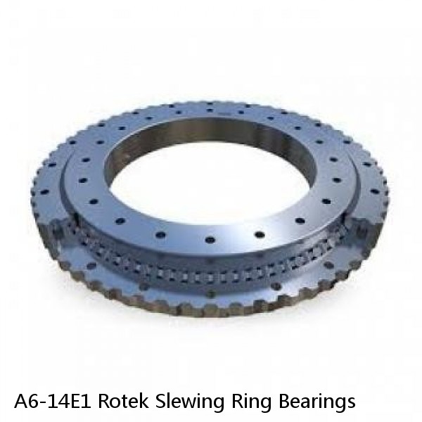 A6-14E1 Rotek Slewing Ring Bearings