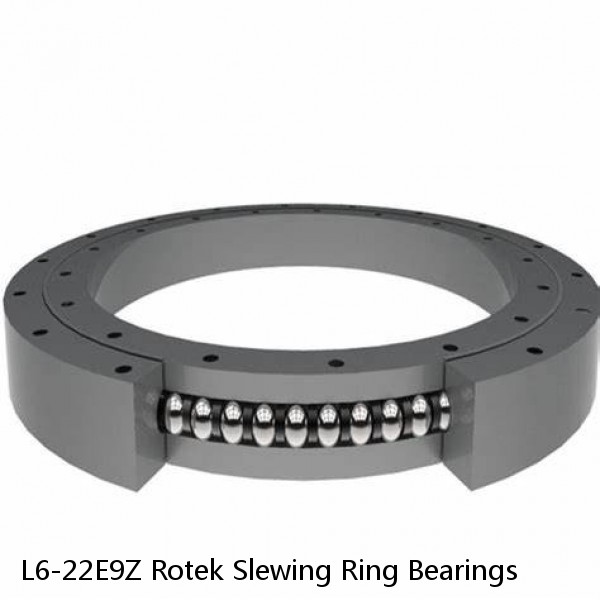 L6-22E9Z Rotek Slewing Ring Bearings