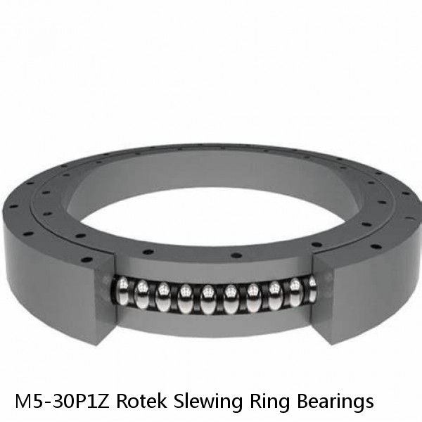 M5-30P1Z Rotek Slewing Ring Bearings