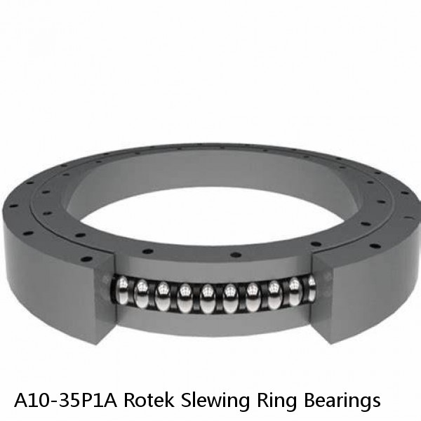 A10-35P1A Rotek Slewing Ring Bearings