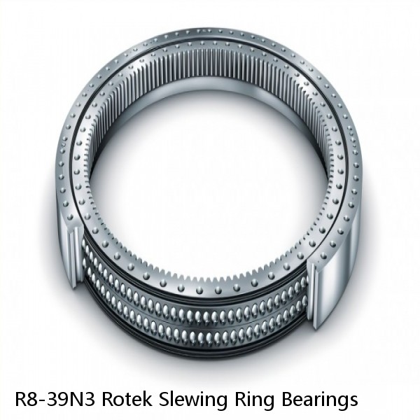 R8-39N3 Rotek Slewing Ring Bearings