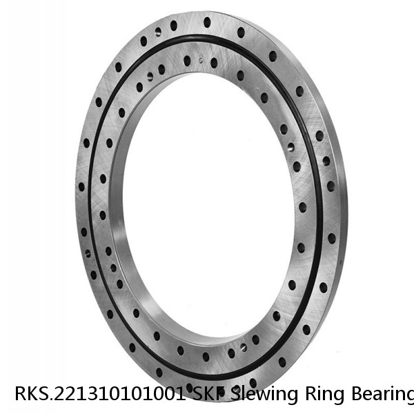 RKS.221310101001 SKF Slewing Ring Bearings