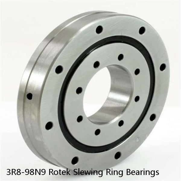 3R8-98N9 Rotek Slewing Ring Bearings