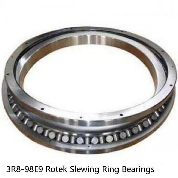 3R8-98E9 Rotek Slewing Ring Bearings