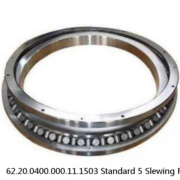 62.20.0400.000.11.1503 Standard 5 Slewing Ring Bearings