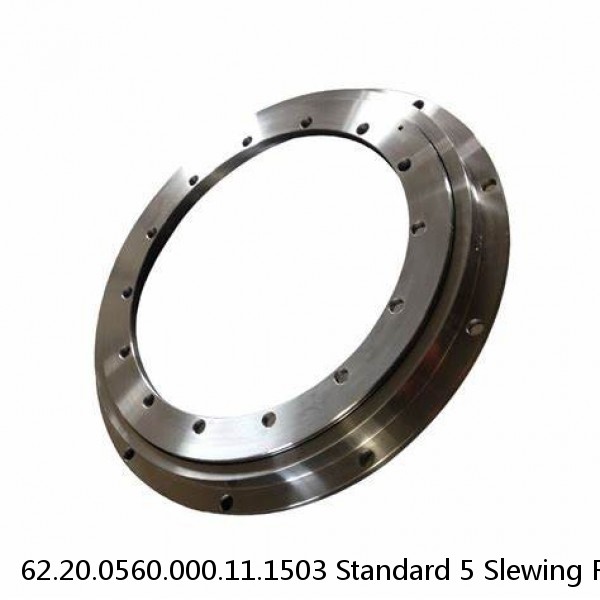 62.20.0560.000.11.1503 Standard 5 Slewing Ring Bearings