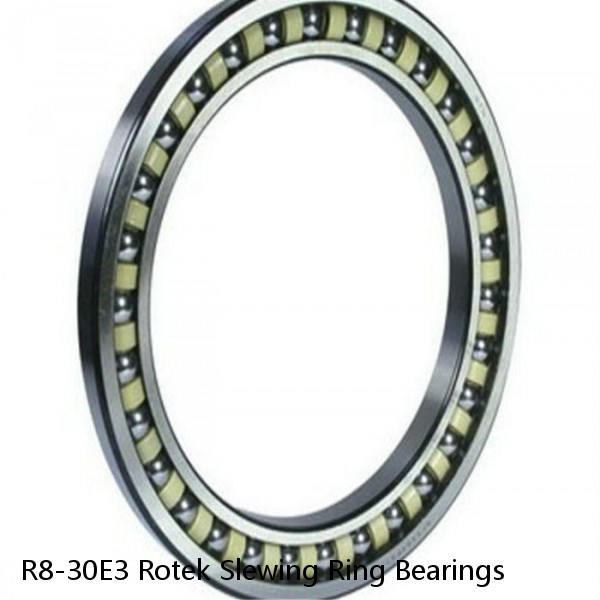 R8-30E3 Rotek Slewing Ring Bearings