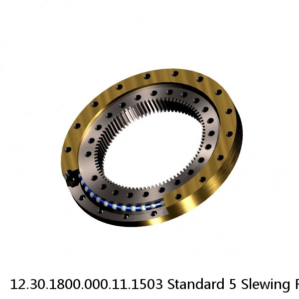 12.30.1800.000.11.1503 Standard 5 Slewing Ring Bearings