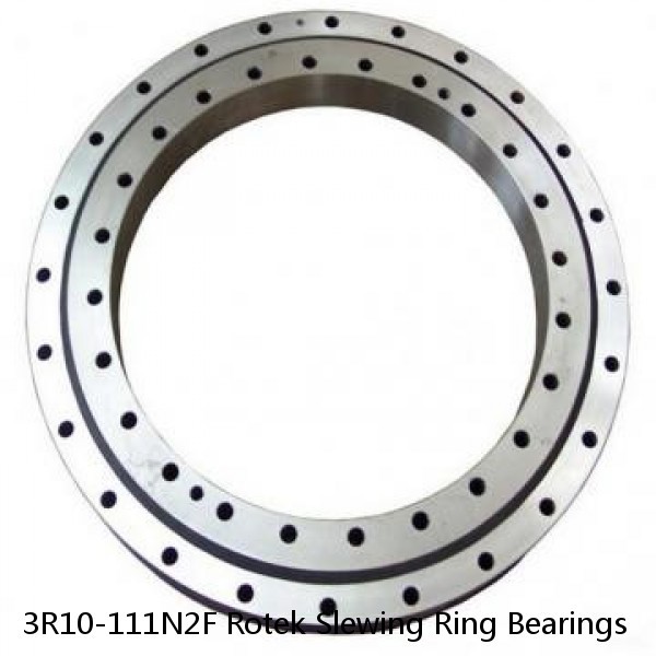 3R10-111N2F Rotek Slewing Ring Bearings