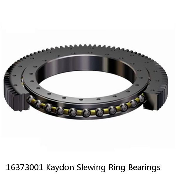 16373001 Kaydon Slewing Ring Bearings