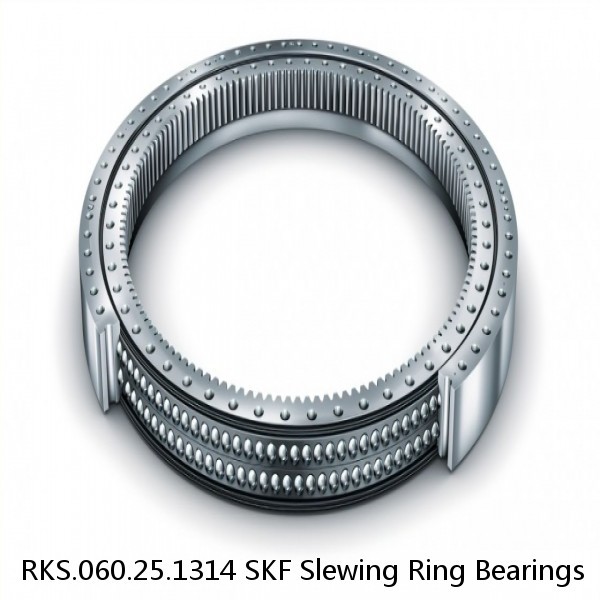 RKS.060.25.1314 SKF Slewing Ring Bearings