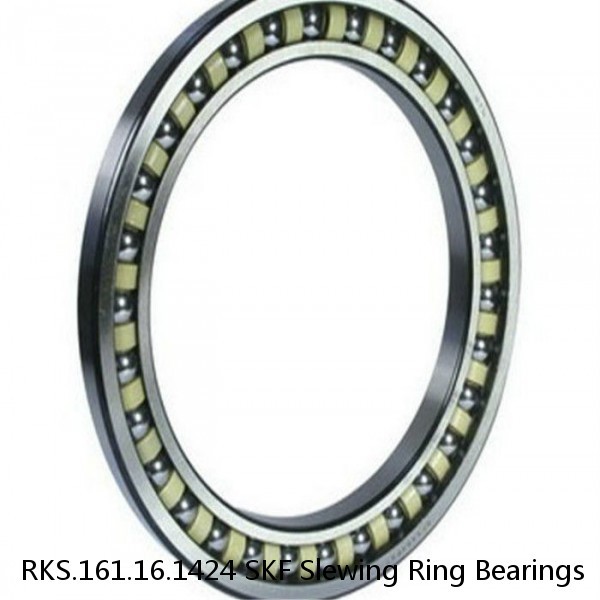 RKS.161.16.1424 SKF Slewing Ring Bearings