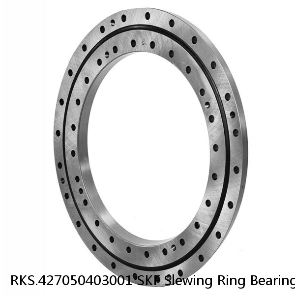 RKS.427050403001 SKF Slewing Ring Bearings