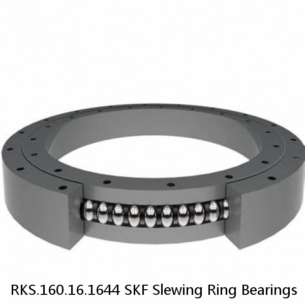 RKS.160.16.1644 SKF Slewing Ring Bearings