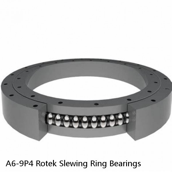 A6-9P4 Rotek Slewing Ring Bearings