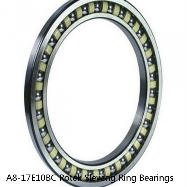 A8-17E10BC Rotek Slewing Ring Bearings