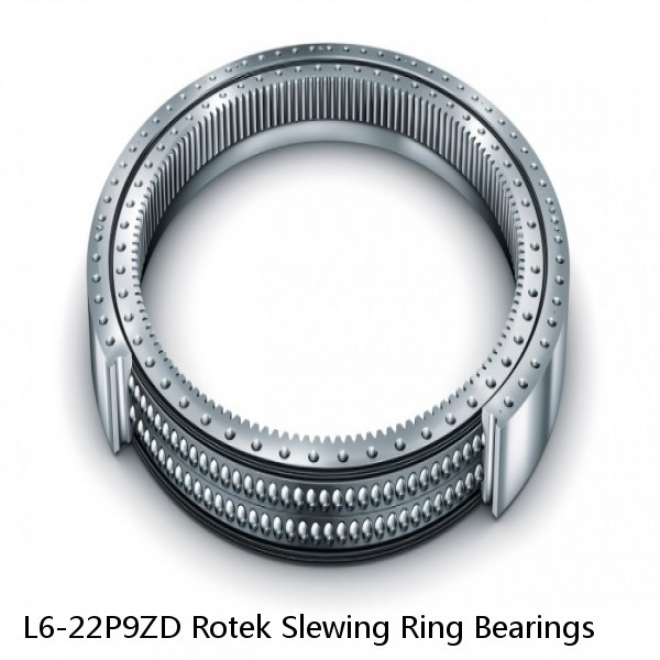 L6-22P9ZD Rotek Slewing Ring Bearings