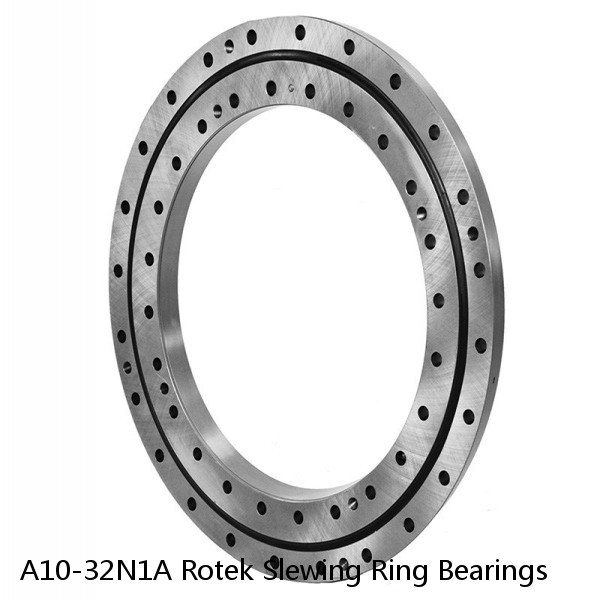 A10-32N1A Rotek Slewing Ring Bearings