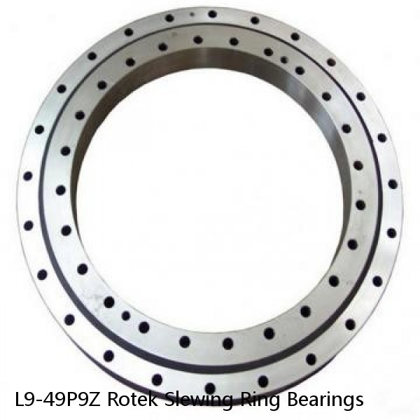 L9-49P9Z Rotek Slewing Ring Bearings