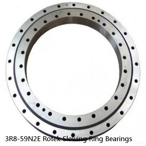 3R8-59N2E Rotek Slewing Ring Bearings