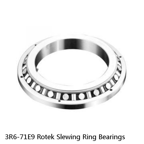 3R6-71E9 Rotek Slewing Ring Bearings