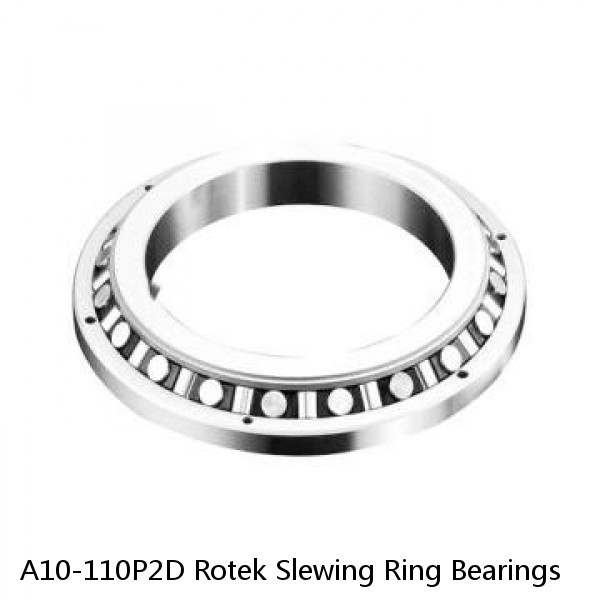 A10-110P2D Rotek Slewing Ring Bearings