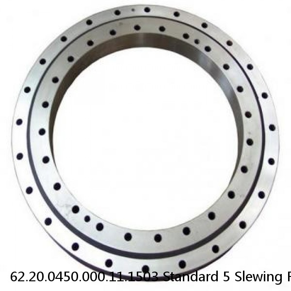 62.20.0450.000.11.1503 Standard 5 Slewing Ring Bearings