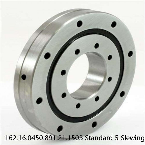 162.16.0450.891.21.1503 Standard 5 Slewing Ring Bearings