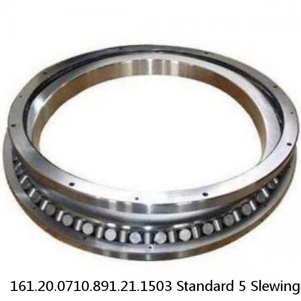 161.20.0710.891.21.1503 Standard 5 Slewing Ring Bearings