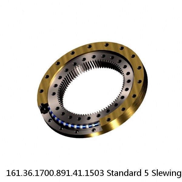 161.36.1700.891.41.1503 Standard 5 Slewing Ring Bearings